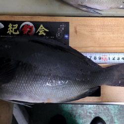 DAIWAマスターズ　ブロック大会　勝浦にて